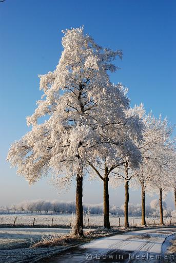 ENE-20071222-0016.jpg - Luchtenburg, Ingen